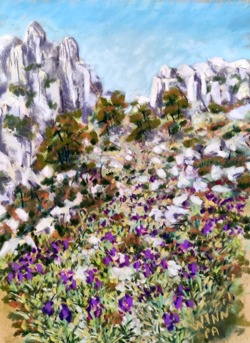 Mountain Iris