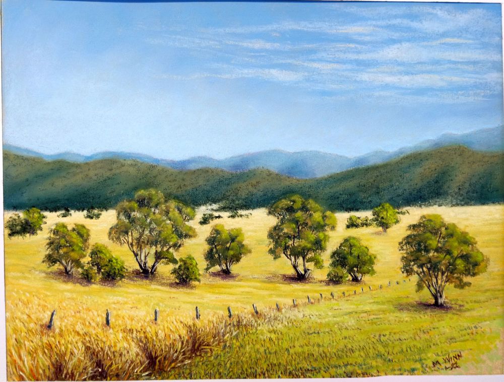 Across the Paddocks